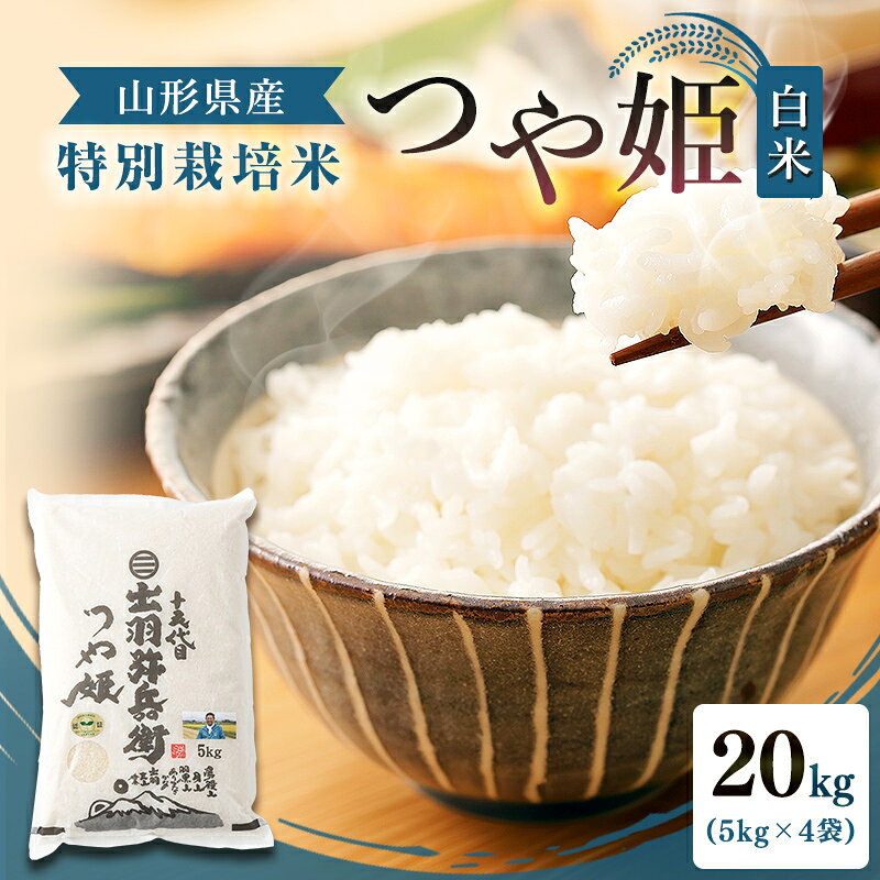 【ふるさと納税】 【令和7年産】特別栽培米 つや姫 白米 20kg（5kg×4袋） 山形県産 F2Y-4793