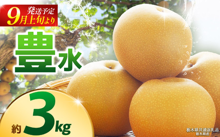 【栃木県共通返礼品】【2025年9月先行予約】豊水(高糖度) 約3kg |豊水 梨 なし ナシ 新品種 先行予約 大粒 新鮮 甘い 美味しい 果物 くだもの フルーツ ふるーつ 共通返礼品 フルーツ デザート 栃木県 那珂川町