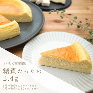 低糖質ベイクドチーズケーキ5号 グルテンフリー チーズケーキ 山梨県 甲斐市 CH-8