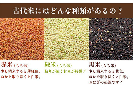 壱岐島の古代米 緑米 3kg (1kg入り × 3袋)[JDB124]