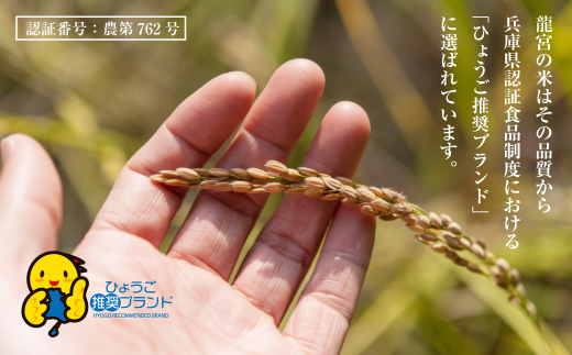 龍宮の米 淡路島産 海藻肥料栽培米 5.0kg【2025年10月より順次発送】　　[精米 米 お米 白米]