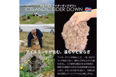 【冬用】 最高級 軽量 羽毛布団 セミダブル 本掛け アイスランド産 アイダーダックダウン98％ 1.2kg 100x140番手サテン ゴールドベージュ｜