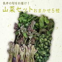 【ふるさと納税】【2025年4月〜5月発送分先行受付】山形の山菜おまかせ5種セット（700g以上）_H047(R7)