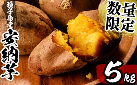 n176 安納芋 さつまいも さつま芋(5kg) 【永濱農園】