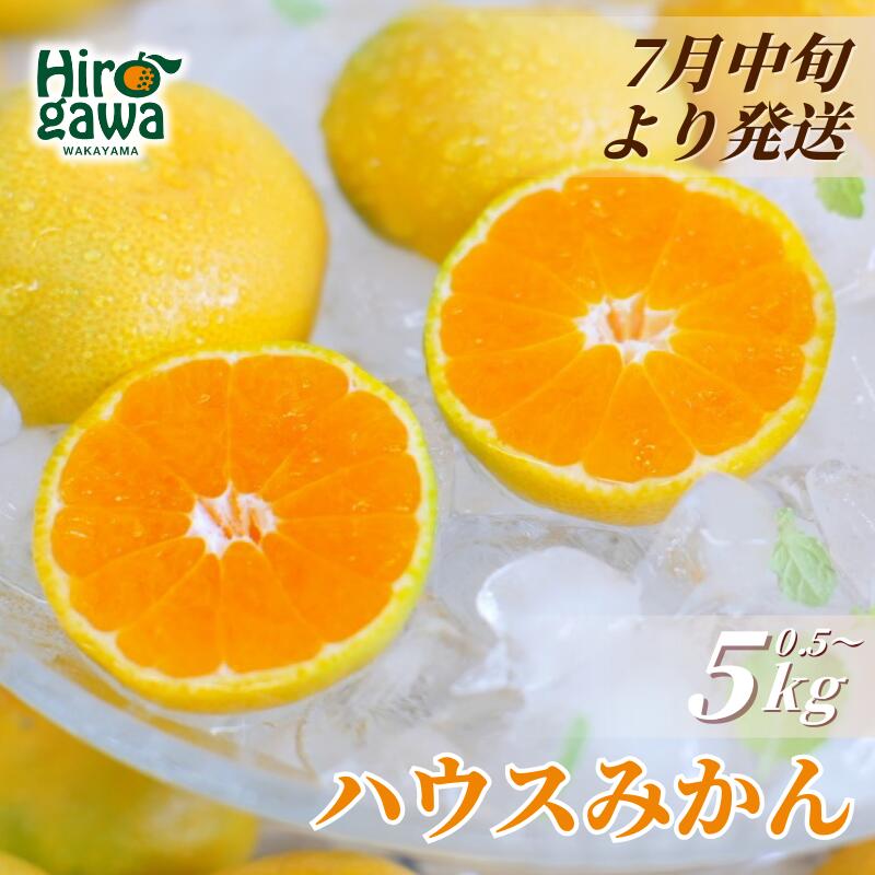 【ふるさと納税】 ハウスみかん / 温室みかん 有田みかん 甘い 厳選 家庭用 和歌山 柑橘 1kg 5kg 7000円 10000円 ※7月中旬～8月下旬に順次発送 ※北海道・沖縄・離島への配送不可 //hokaf