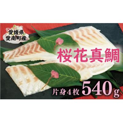 ふるさと納税 愛南町 桜花 真鯛 切り身 4柵 合計 540g ( 270g ×2 パック ) 朝〆 まだい 鯛 愛南町