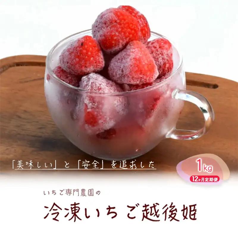 【12ヶ月定期便】越後姫 冷凍いちご 1kg いちご フルーツ