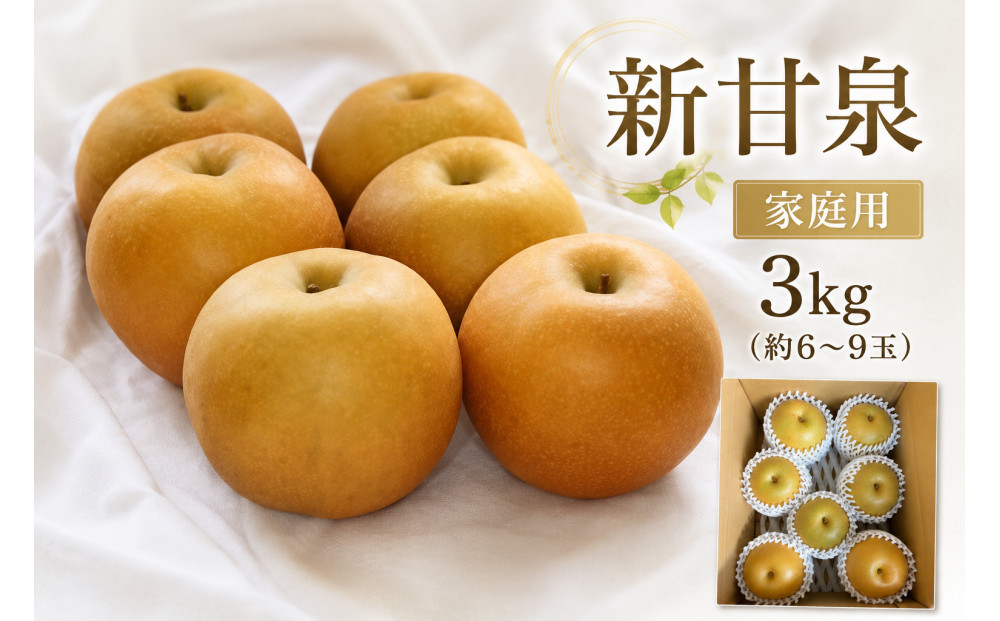 【2026年度先行予約】数量限定　鳥取県産　新甘泉 家庭用 3kg(約6〜9玉)【8月20日以降発送】 313726_DE004