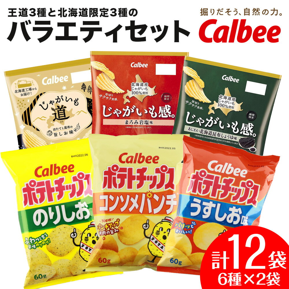 【ふるさと納税】ポテトチップス バラエティセット 1箱（6種 各2袋 計12袋）《北海道工場製造》お菓子 スナック菓子 北海道産 じゃがいも ポテトチップス ポテチ カルビー 北海道ふるさと納税 千歳市 ふるさと納税【北海道千歳市】ギフト ふるさと納税