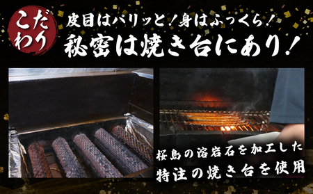 職人手焼き うなぎ蒲焼 2尾 計260g以上 鰻 ウナギ うなぎ 魚 魚介 国産 おかず 食品 加工品 冷蔵 惣菜 蒲焼き 送料無料_CD40-23