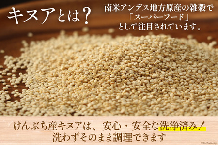キヌア 20g×2袋 計40g
