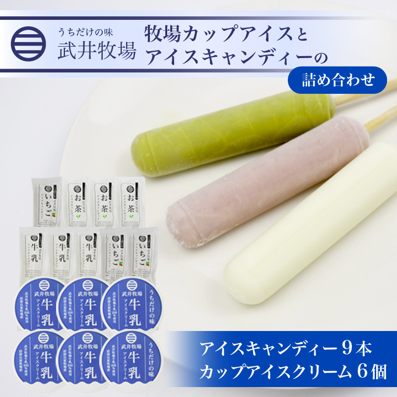 
            アイスクリーム カップアイス 6個 アイスキャンディー 3種 計9本 セット うちだけの味 武井牧場 自家製 アイス 牧場 牛乳 いちご お茶 キャンディー 食べ比べ ギフト 贈答 お取り寄せ スイーツ お菓子 デザート 静岡県 沼津市 母の日 父の日
          
