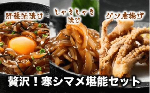【寒シマメ堪能セット】絶品スルメイカ3種セット 旨味が詰まった島の特産品