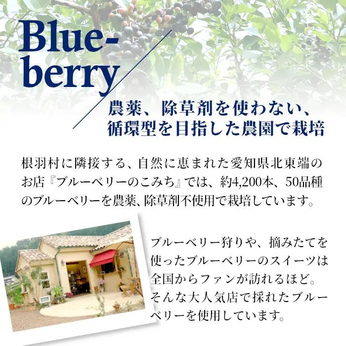 〈即日発送〉生ソフトクリーム＆稲武のブルーベリーアイス 7個セット アイスクリーム ソフトクリーム ブルーベリー  根羽村 ネバーランド 6000円