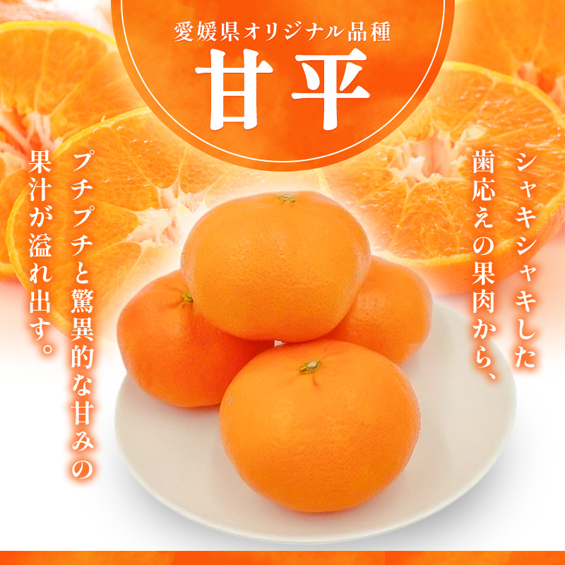 甘平 L～3Lサイズ　2.5kg　みきゃん箱入【フジ・アグリフーズ かんぺい はじける食感 濃厚果汁 旬にお届け みかん 柑橘 人気 数量限定 先行予約 愛媛県 フルーツ 果物 甘い】