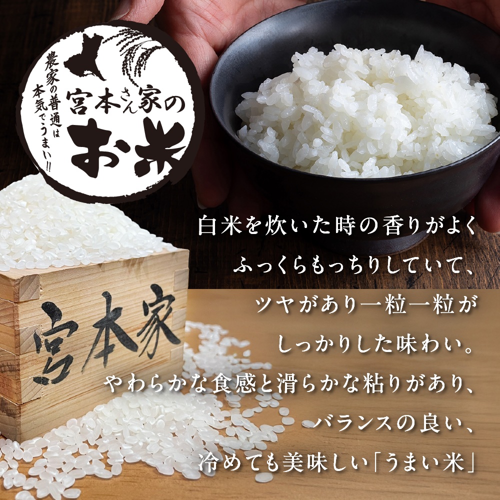 新米 【令和7年産】茨城県稲敷市産 宮本さん家のこしひかり 20kg(10kg×2袋)｜米 おこめ コシヒカリ 精米 農家直送 直送 茨城県 [1654]