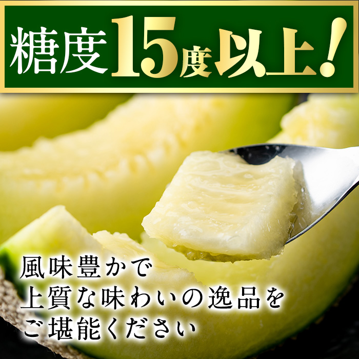 【0281115a-F】＜父の日ギフト・期間限定＞高級アールスメロン(大玉2玉・計3.4kg以上、黄色バラ付(造花)付) メロン フルーツ 果物 果実 1キロ 数量限定 期間限定 贈答 贈り物 父の日