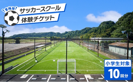 【寄付前にお問い合わせお願いいたします】次のステージを目指す選手へ。小学生対象 青梅発のサッカースクール 体験チケット (10回分)[№5714-0352]