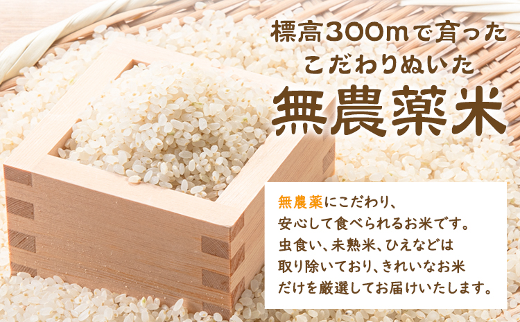 洗米 ホタルの里水越の自然栽培米 約2.1kg 300g×7袋 合同会社点天《30日以内に発送予定(土日祝除く)》洗わなくてOK 米 コメ 小分け 便利 熊本県産---mf_tnmsn6nen_24_