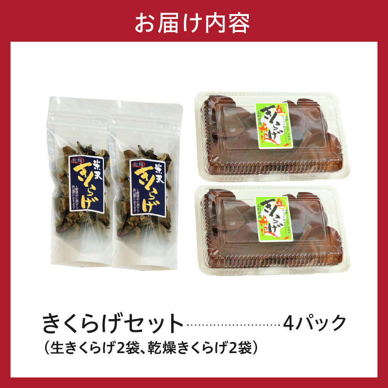 期間限定 生きくらげ 乾燥きくらげ セット 生きくらげ 150g × 2パック 計300g 乾燥きくらげ 15g × 2袋 計30g 2026年6月～10月中旬頃 お届け予定 国産 米沢産 きくらげ きのこ 木耳 キクラゲ 山形県 米沢市
