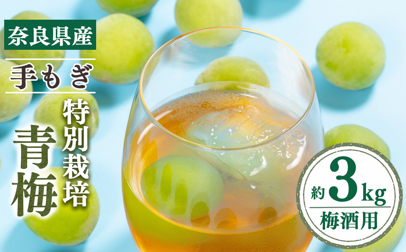 
                  特別栽培手もぎ青梅（梅酒・梅ジュース用）3kg | 果実 かじつ カジツ 梅 うめ ウメ 賀名生梅林 あのうばいりん 最高品質 ごじょうし | 奈良県 五條市
                