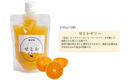 フルーツゼリー ちゅるちゅるゼリー 柑橘 3種 合計6個 セット みかん きよみ せとか 柑橘王国愛媛 永久堂