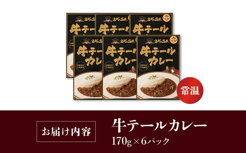 牛テール カレー セット レトルト 常温(170g × 6パック 計 1,020g) ビーフカレー 肉 牛 レトルトカレー レトルト食品 ギフト 常温 常温保存 常備食 保存食 防災 備蓄 非常食 防