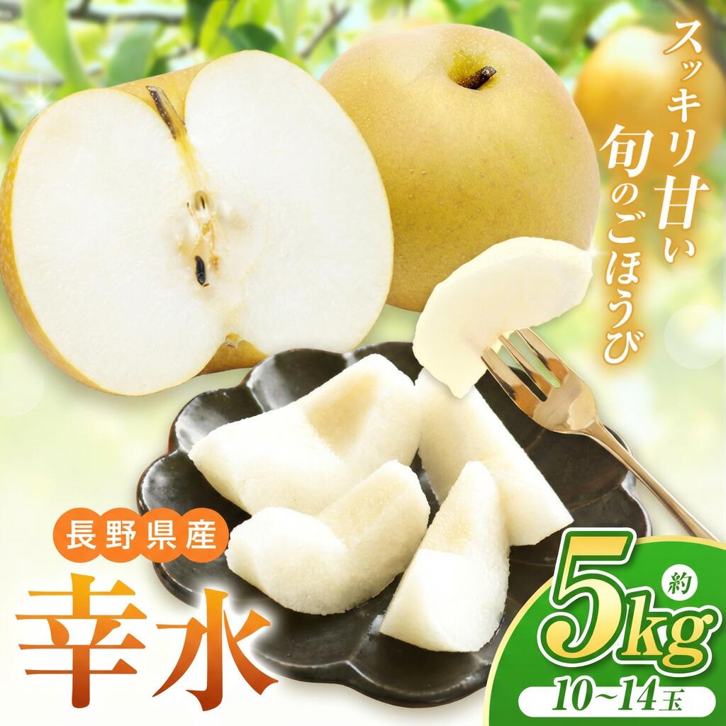 【ふるさと納税】【2026年先行予約】長野県産 幸水 約5kg（ 10 ～ 14 玉 ）【8月下旬以降発送予定】| 果物 くだもの フルーツ 梨 なし ナシ 幸水 シャキシャキ 甘い さっぱり ジューシー 長野県 塩尻市