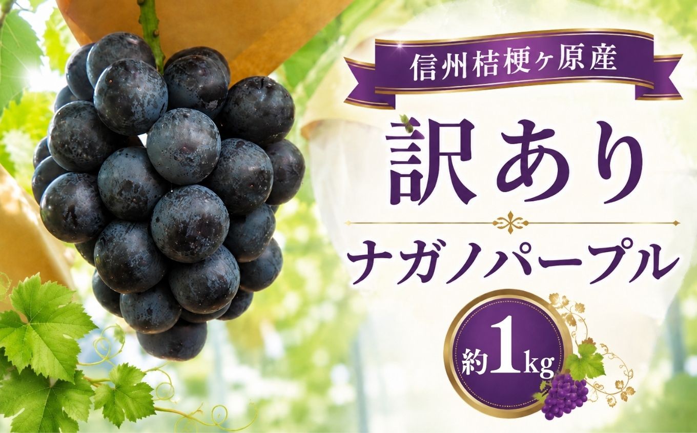 
                  訳あり 信州桔梗ヶ原産 ナガノパープル 約1kg｜ナガノパープル 訳あり 訳アリ ぶどう 葡萄 ブドウ フルーツ 果物 くだもの 種なし 種無し 長野県産 長野 長野県 信州 塩尻市 桔梗ヶ原 信州桔梗ヶ原産 ハウス栽培 1kg 国産  甘い 濃厚 旬 ふるさと納税 返礼品 2026 2026年
                