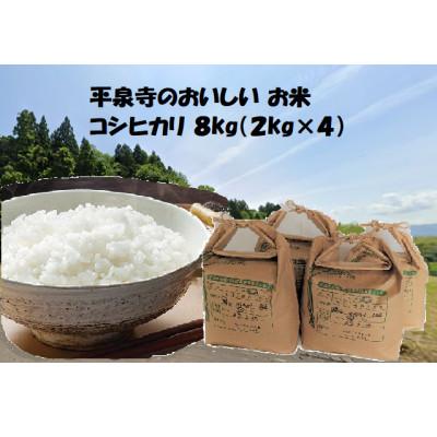 ふるさと納税 勝山市 【令和7年度産】コシヒカリ8kg(2kg×4)
