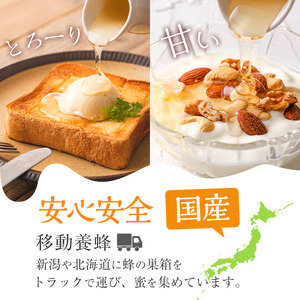 今年のイチオシはちみつ2本セット(アカシアはちみつ500g、百花はちみつ500g) 蜂蜜 ハチミツ 純粋はちみつ 【新屋養蜂場】 A-429
