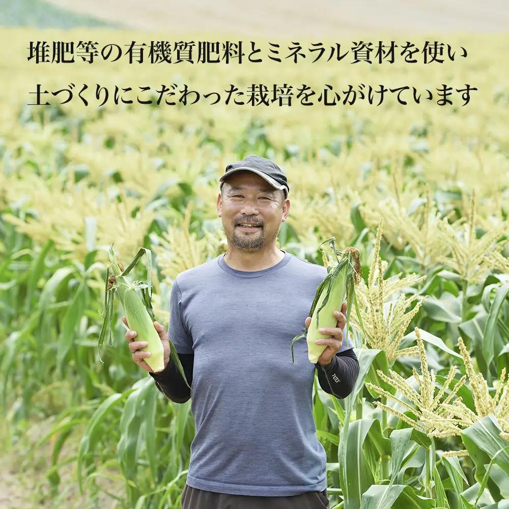 【先行予約】北海道 とうもろこし 8本 ホワイトコーン 令和8年産 おおとり