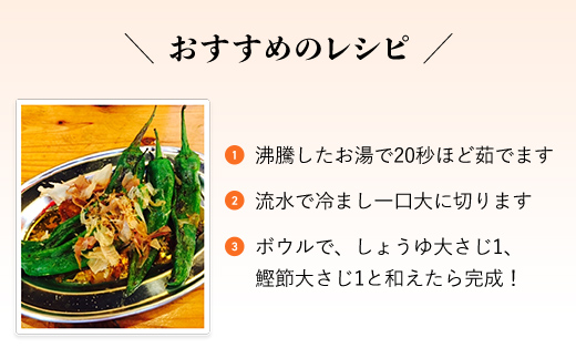 【2025年6月下旬発送開始！】万願寺とうがらし 1㎏ / ふるさと納税 京野菜 野菜 旬の野菜 万願寺とうがらし 伝統野菜 京都 京都府 福知山市 FCDB039