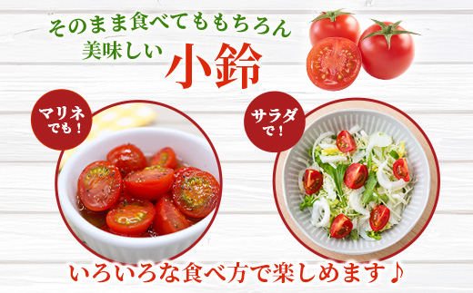 【先行予約】田淵さんちの美味しい ミニトマト 小鈴 2kg（1kg×2箱）｜鹿児島県 南大隅 産地直送 旬 とまと ミニトマト 野菜 やさい 送料無料 ≪2025年11月より順次発送≫