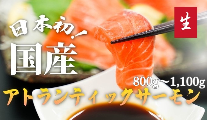 E38【毎週金曜発送】日本初！今話題の国産アトランティックサーモン「FUJI ATLANTIC SALMON」【生】800～1,100ｇ