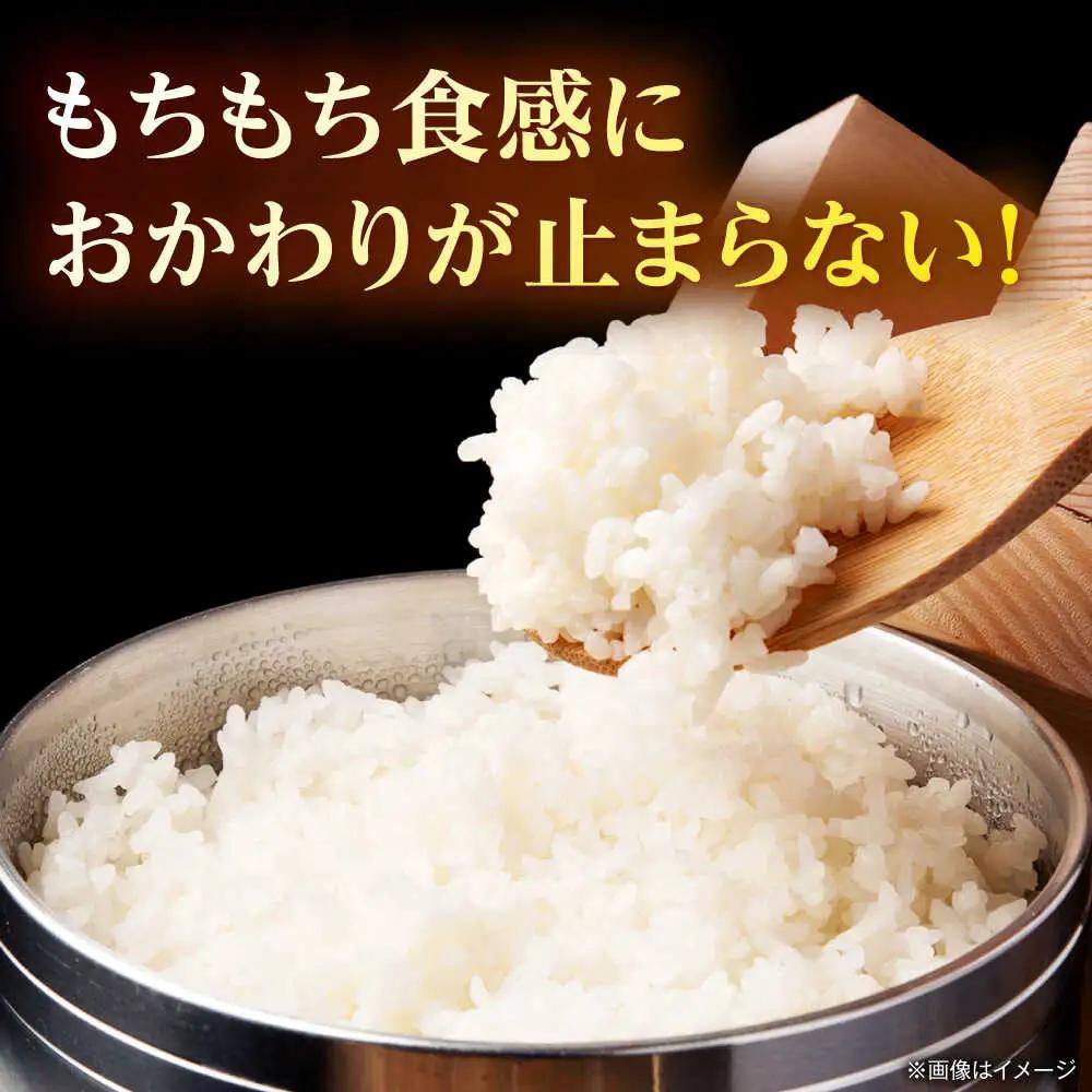 【先行予約】【6回定期便】山鹿市産 ヒノヒカリ 白米  10kg 【奥村果実園】[ZFK015]