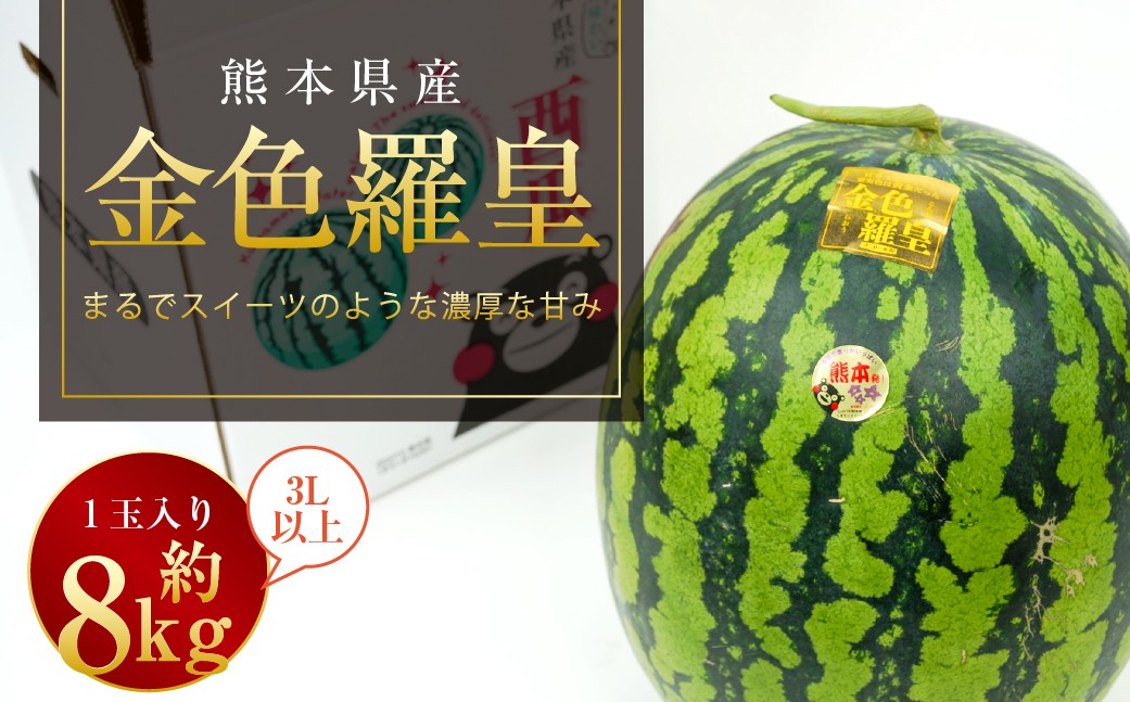 
            金色羅皇 1玉入り 3L以上 約8kg 【2026年5月上旬～2026年6月下旬発送予定】スイカ 甘いフルーツ 名産果物  果物 熊本県 
          