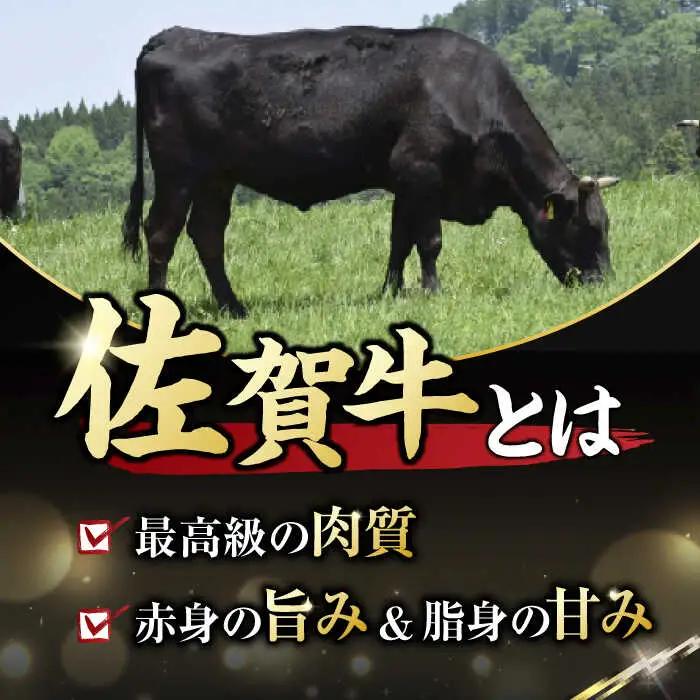 佐賀牛 ヒレステーキ 750g 佐賀牛[FDB025]
