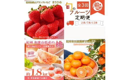 【3回定期便】【2～3・7・12月】紀州和歌山産旬のフルーツ定期便 (いちご・桃・有田みかん)  【tkb375】