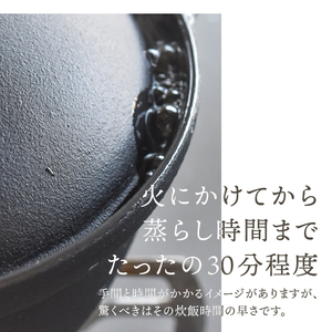 南部鉄器 南部ごはん釜3合炊 [Z0046]