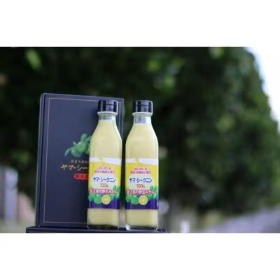
                  ヤマ・シークニン果汁300ml×2本セット
                