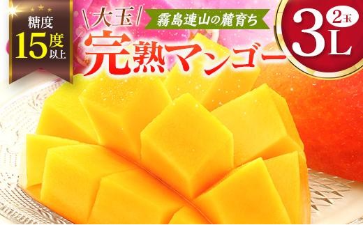 《甘い!!糖度15度以上》 宮崎 樹上完熟 マンゴー 3Lサイズ×2玉 霧島連山の麓育ち 宮崎県産 トロピカル フルーツ お取り寄せ 果物 旬