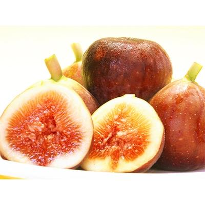 ふるさと納税 和歌山市 和歌山産 いちじく 秀品1.6kg(400g ×4パック)