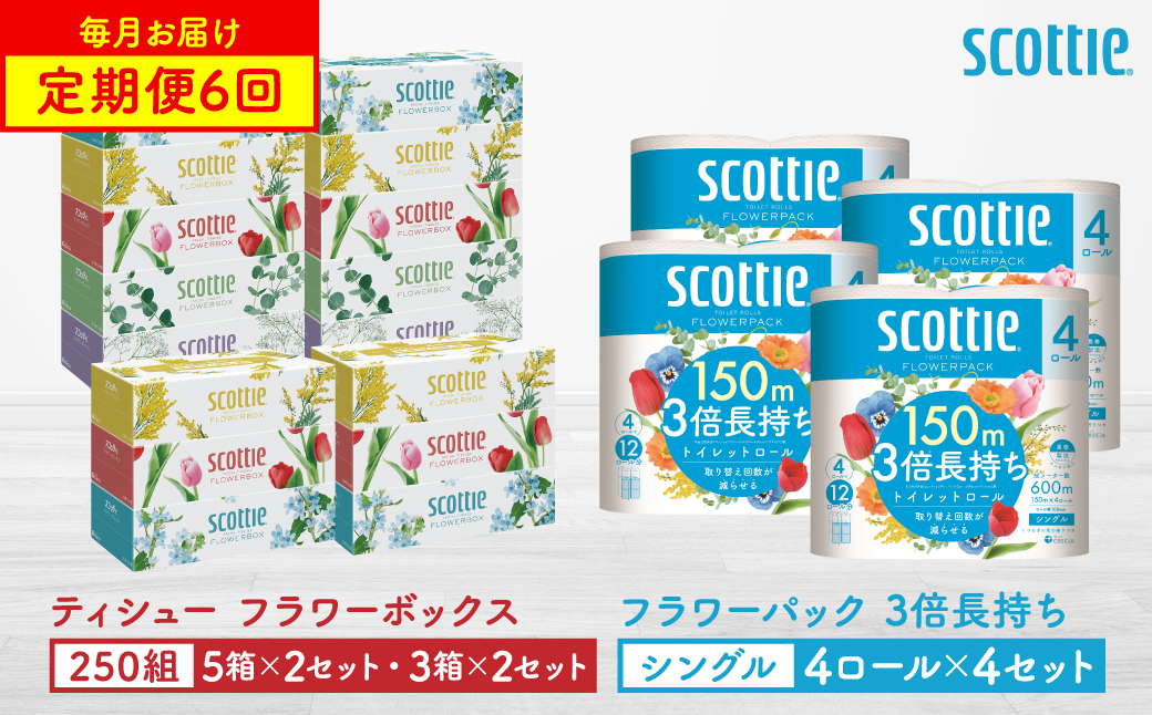 【定期便6回】【毎月お届け】【スコッティ】 ティシュー フラワーボックス 250組（5箱パック×2セット・3箱パック×2セット）＋フラワーパック 3倍長持ち（4ロール(シングル)パックx4セット）