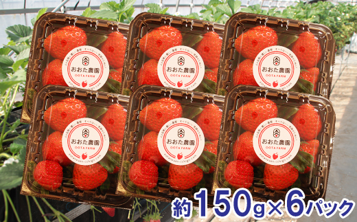 OT03：鳥取県産いちご　約160g×6パック