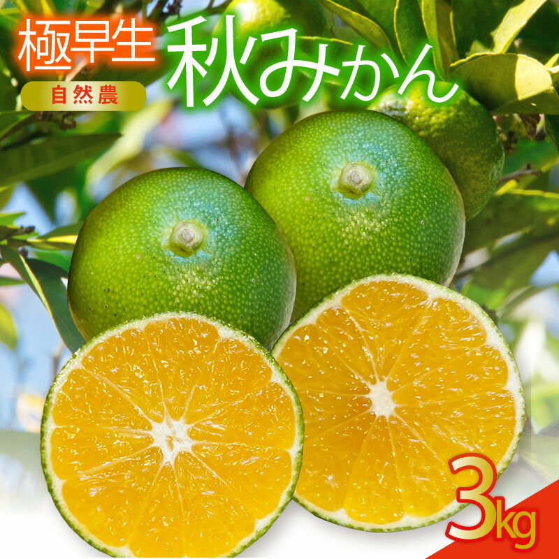 【ふるさと納税】 極早生 秋みかん 訳あり 約3kg 自然農 みかん 早生 果物 フルーツ 柑橘 国産 みかん 蜜柑 ミカン オーガニック 西浦 沼津 静岡