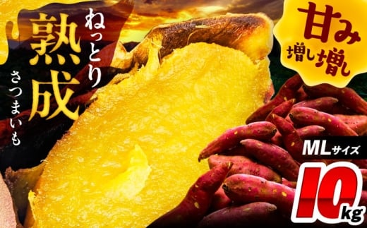 さつまいも 10kg / 焼き芋 焼きいも 紅はるか シルクスイート あまはづき 野菜 愛西市 / 川口農園 [AEDH002]