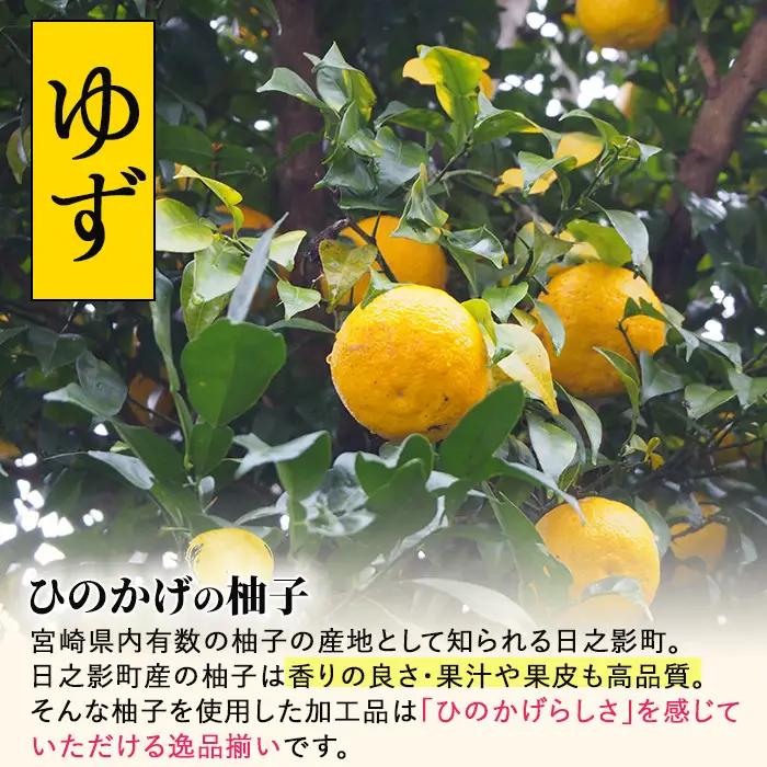 日之影町産ゆずの柚子ごしょう・ドレッシング・ゆず酢のセット(全5種)【MU013】【日之影町村おこし総合産業(株)】