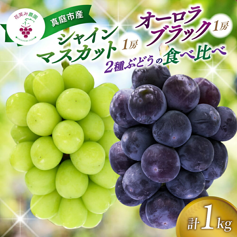 【ふるさと納税】 ぶどう食べ比べ シャインマスカット オーロラブラック 1kg(2房) 【2027年9月中旬順次発送】 葡萄 ブドウ 食べ比べ 果物 くだもの フルーツ シャインマスカット 産地直送 詰め合わせ セット 期間限定 数量限定 人気 先行予約 岡山県