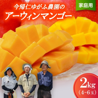 
                  ＜2026年7月から順次発送・家庭用＞今帰仁ゆがふ農園のアーウィンマンゴー2kg(4～6玉)【1694708】
                